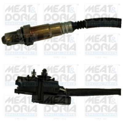 Oxygen Sensor